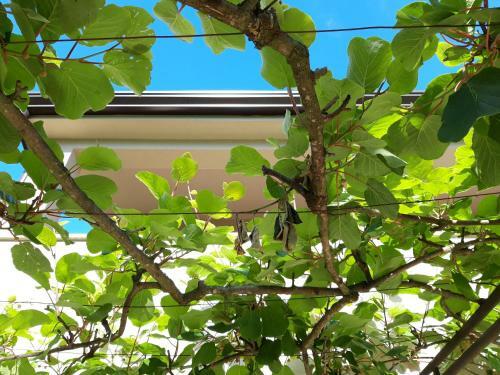 Apartamento Summertime In Porec