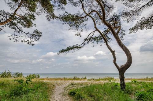 Apartamento Fewo Prora - Ostsee Bernstein