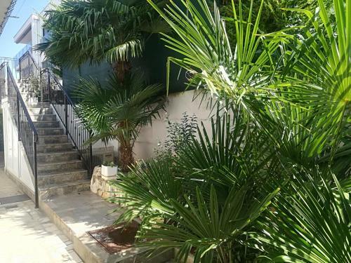 Apartment Jozefina