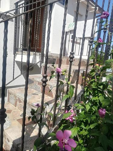 Apartment Jozefina