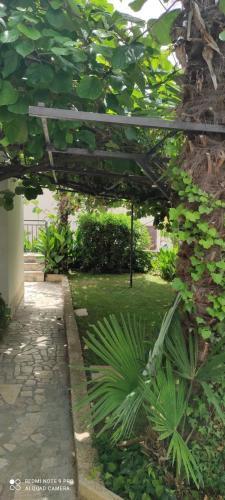 Apartment Jozefina