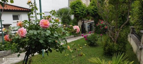 Apartment Jozefina