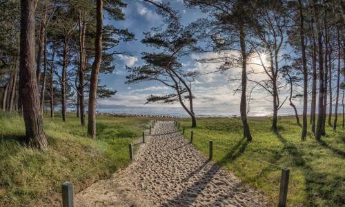 Hostal Villa Freia - Strandidyll