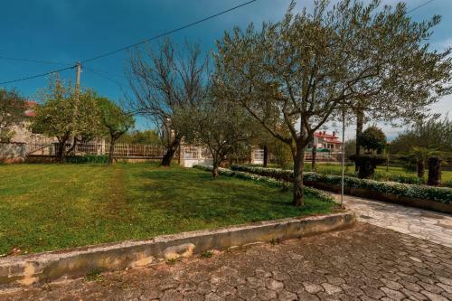 Apartment Villa Olga