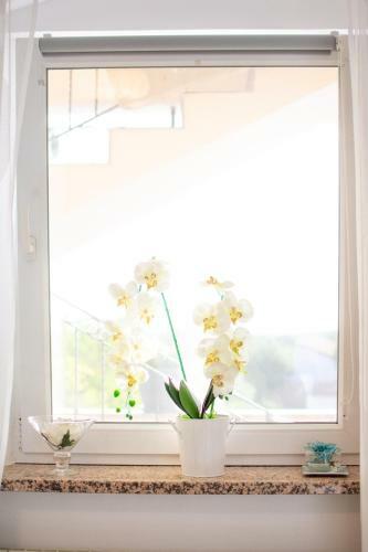 Apartamento App Roko 2