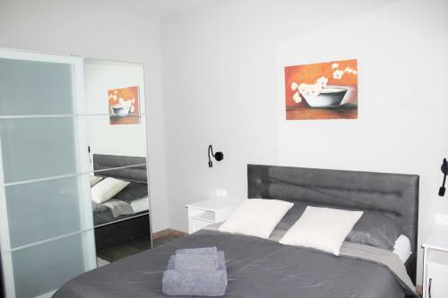 Apartmani ?u?i?
