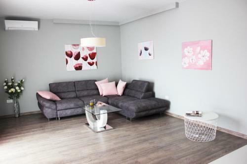 Apartmani ?u?i?