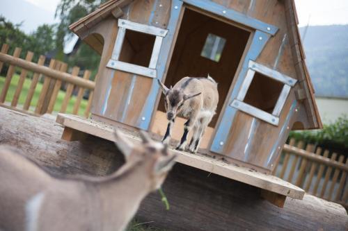 Familiengut Hotel Burgstaller