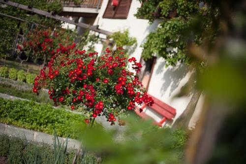 Familiengut Hotel Burgstaller