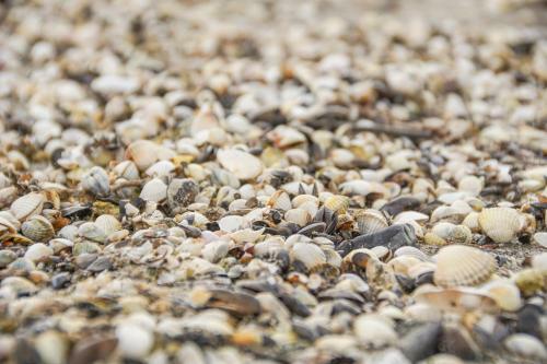Apartamento Fewo Prora - Meersonnewind