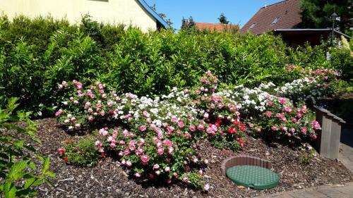 Apartamento Fewo Kasch