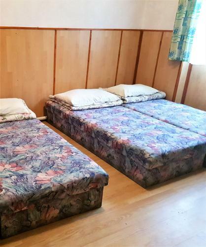 Albergue Musk�tli Vend�gh�z