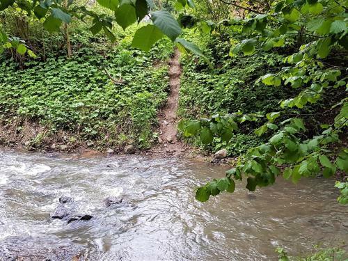 Bed & Breakfast Musk�tli �d�l?h�z