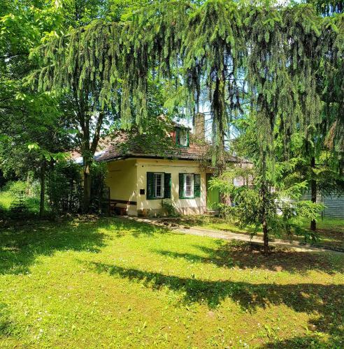 Bed & Breakfast Musk�tli �d�l?h�z