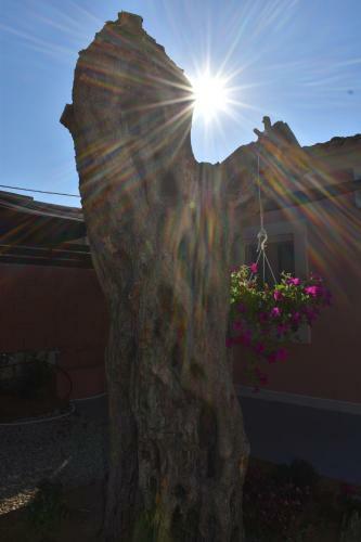 Casa Di Nina