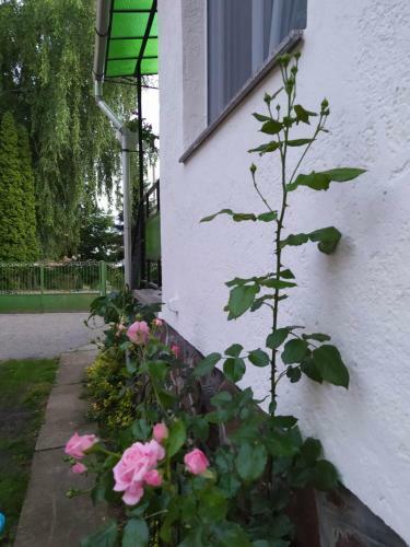 Apartamento Eperkert Vend�gh�z