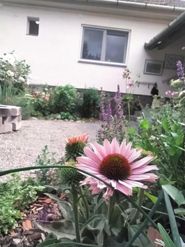 Apartamento Eperkert Vend�gh�z