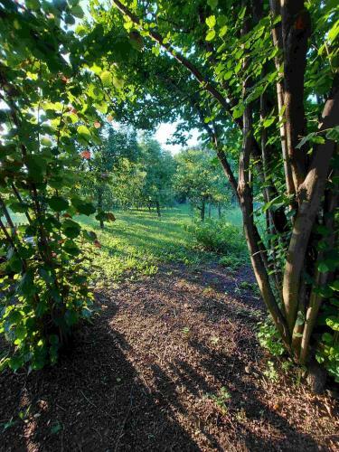 Apartamento Eperkert Vend�gh�z
