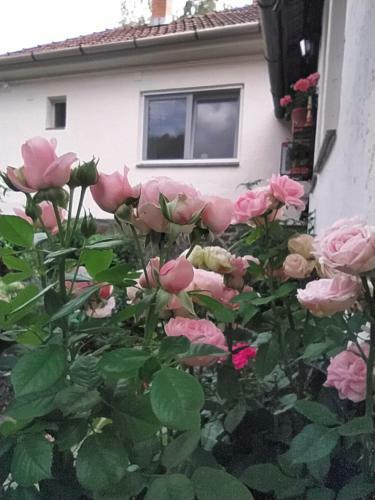 Apartamento Eperkert Vend�gh�z