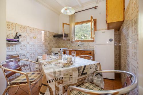 Dragana Apartments