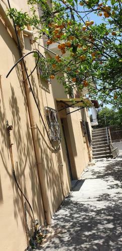 Corfu Fanis Apartments