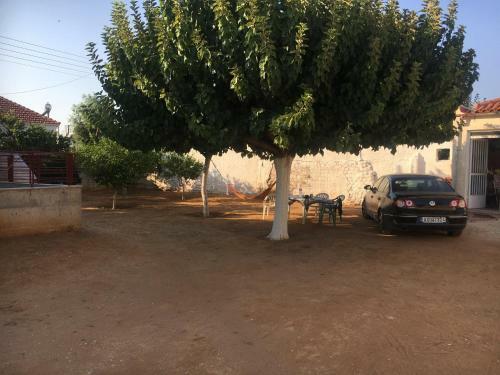 Dimitras And Thalias House