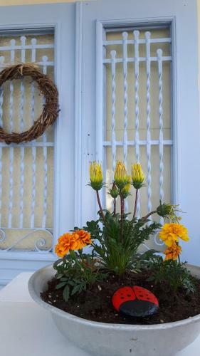 Cavos Seaside House
