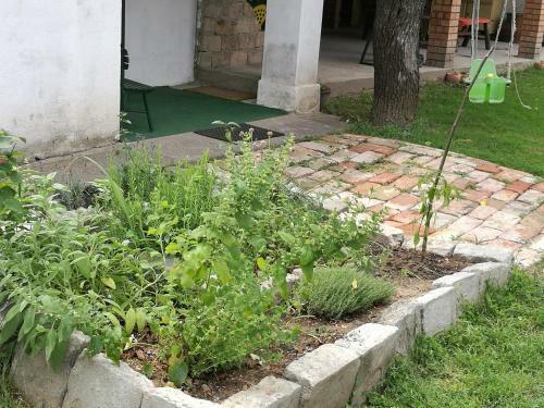 Hostal Ter�z H�za