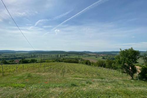 Apartamento Pr�sh�z A Hegytet?n