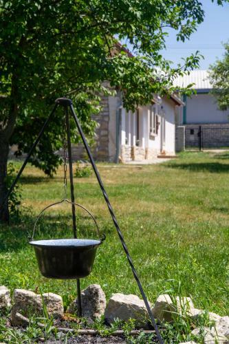 Apartamento F?nix H�z
