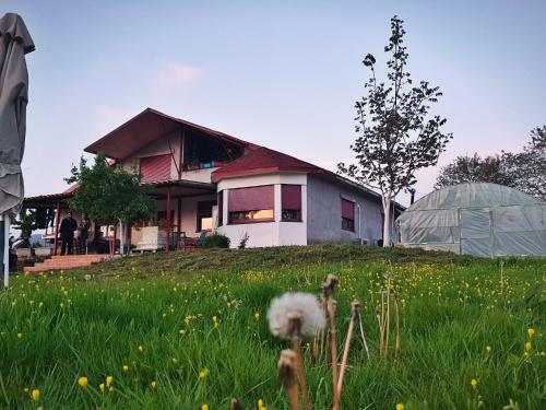 Agroturismo The House In The Meadow