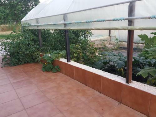 Agroturismo The House In The Meadow