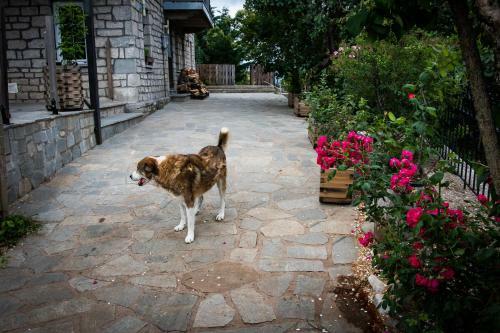 Villa In The Mountain