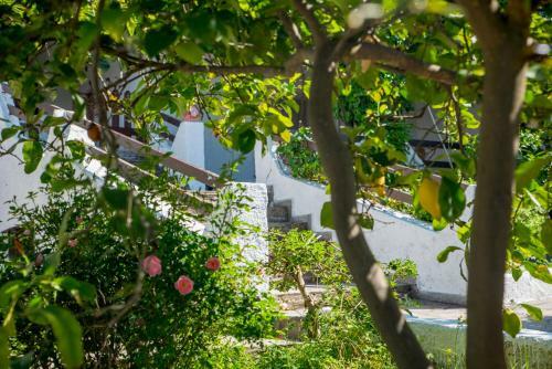 Iliochari Sea View Apartments Oropos - Kalamos