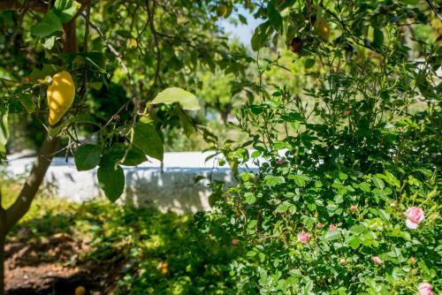 Iliochari Sea View Apartments Oropos - Kalamos