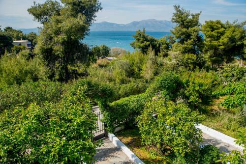 Iliochari Sea View Apartments Oropos - Kalamos