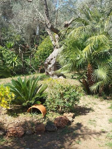 Bill's Garden Villa