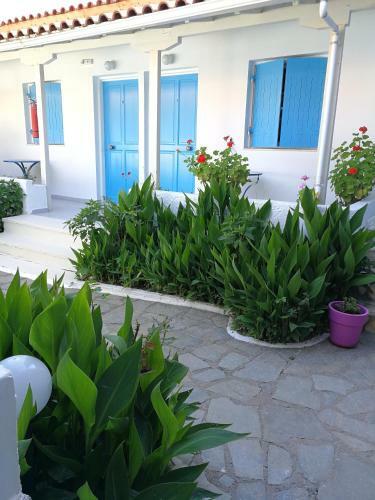 Apartamento Blue White House