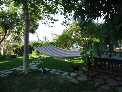 Apartamento Alexandra Homestay