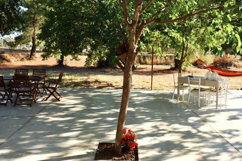 Apartamento Aura House - Serene And Breezy Home Under Pines