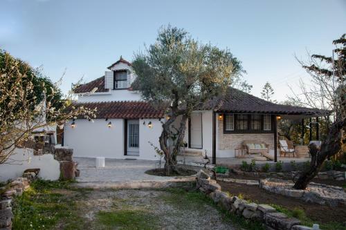 Vartan's Summer House