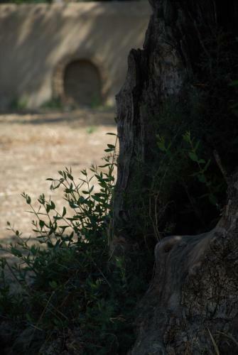 Lioriza Country Houses