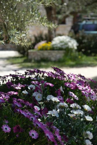 Lioriza Country Houses