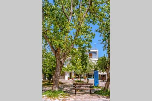 Apartamento Kala Nera Seaside Bnb