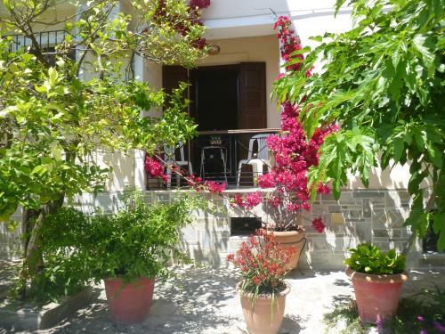 Evgenia's House