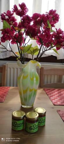 Apartamento Orange Garden Loft