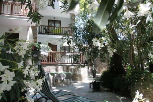 Platanofylla Pelion Apartment No11