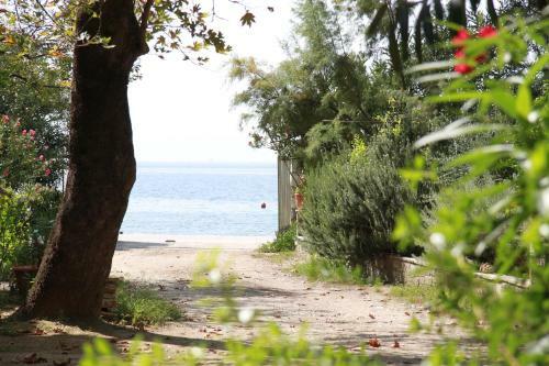Platanofylla Pelion Apartment No11