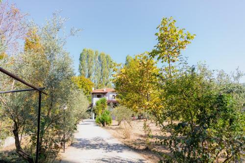 Diamond Farm Villa