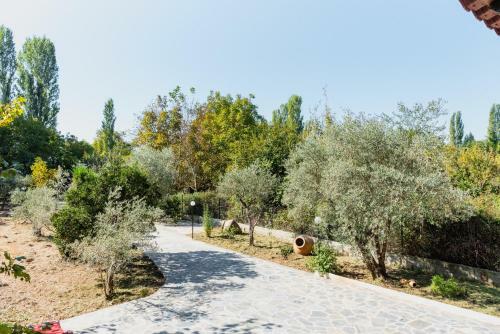 Diamond Farm Villa
